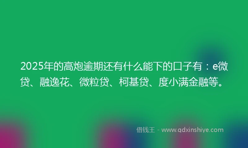 2025年的高炮逾期还有什么能下的口子有：e微贷、融逸花、微粒贷、柯基贷、度小满金融等。