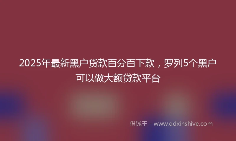 2025年最新黑户货款百分百下款，罗列5个黑户可以做大额贷款平台