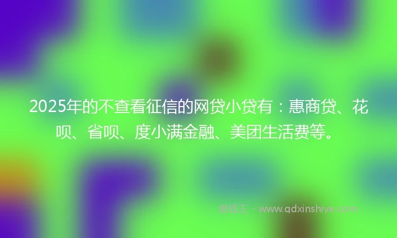 2025年的不查看征信的网贷小贷有：惠商贷、花呗、省呗、度小满金融、美团生活费等。