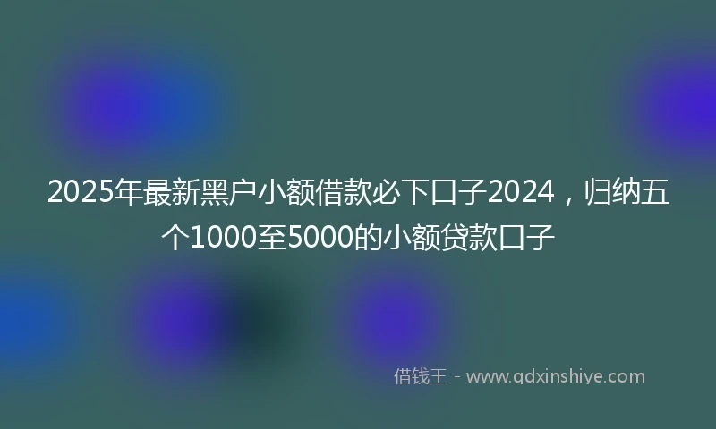 2025年最新黑户小额借款必下口子2024，归纳五个1000至5000的小额贷款口子