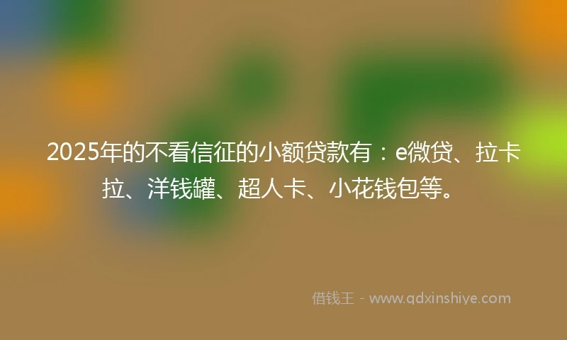 2025年的不看信征的小额贷款有：e微贷、拉卡拉、洋钱罐、超人卡、小花钱包等。