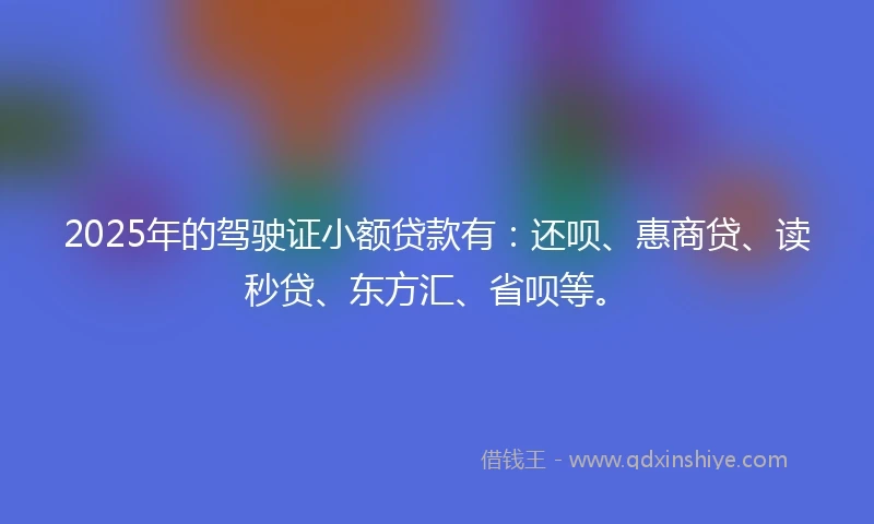 2025年的驾驶证小额贷款有：还呗、惠商贷、读秒贷、东方汇、省呗等。