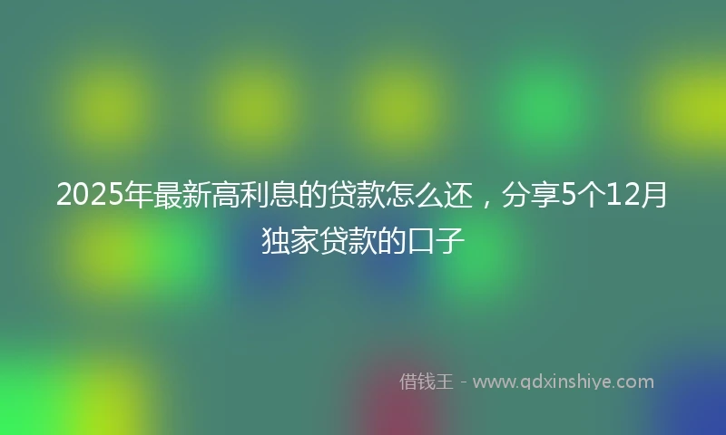 2025年最新高利息的贷款怎么还，分享5个12月独家贷款的口子