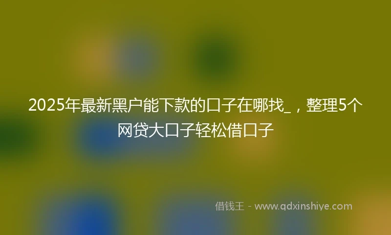 2025年最新黑户能下款的口子在哪找_，整理5个网贷大口子轻松借口子