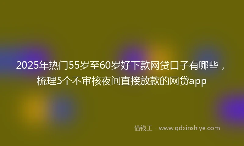 2025年热门55岁至60岁好下款网贷口子有哪些，梳理5个不审核夜间直接放款的网贷app