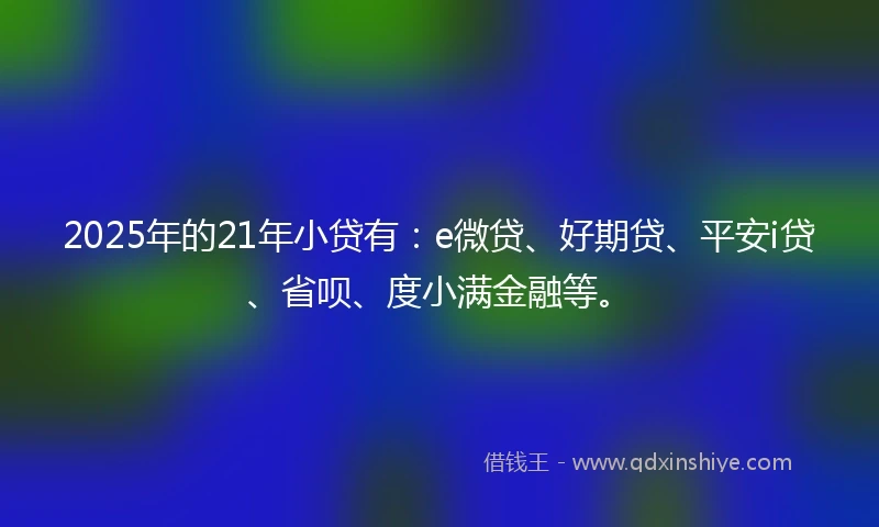 2025年的21年小贷有：e微贷、好期贷、平安i贷、省呗、度小满金融等。