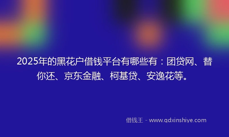 2025年的黑花户借钱平台有哪些有：团贷网、替你还、京东金融、柯基贷、安逸花等。