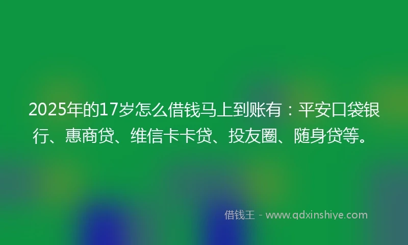 2025年的17岁怎么借钱马上到账有：平安口袋银行、惠商贷、维信卡卡贷、投友圈、随身贷等。