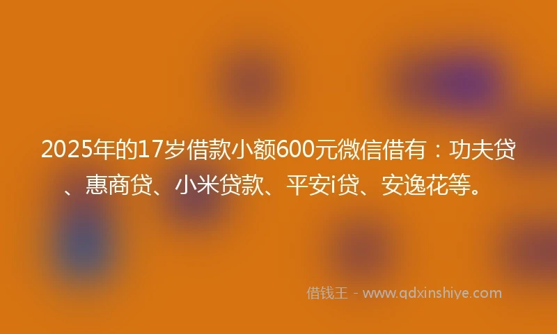 2025年的17岁借款小额600元微信借有：功夫贷、惠商贷、小米贷款、平安i贷、安逸花等。