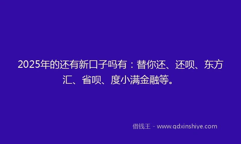 2025年的还有新口子吗有：替你还、还呗、东方汇、省呗、度小满金融等。