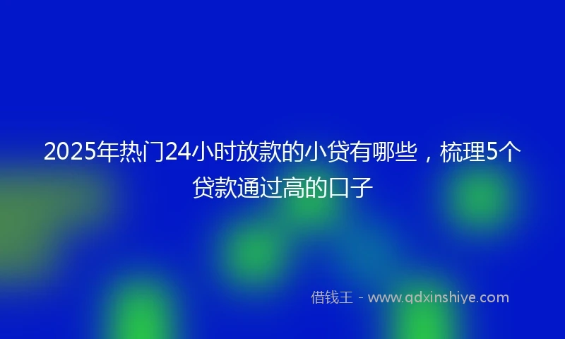2025年热门24小时放款的小贷有哪些，梳理5个贷款通过高的口子