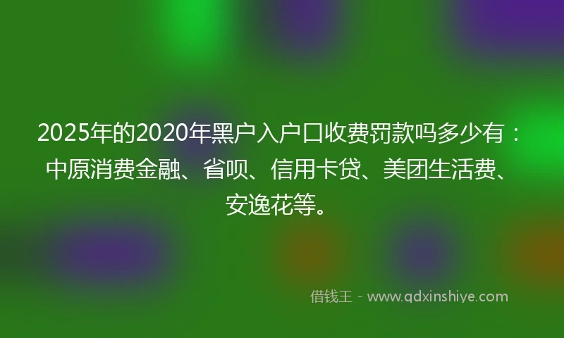 2025年的2020年黑户入户口收费罚款吗多少有：中原消费金融、省呗、信用卡贷、美团生活费、安逸花等。