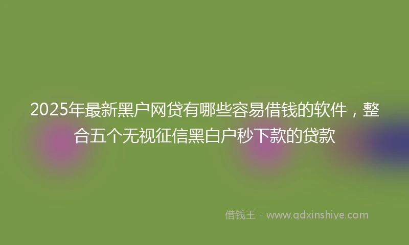2025年最新黑户网贷有哪些容易借钱的软件，整合五个无视征信黑白户秒下款的贷款