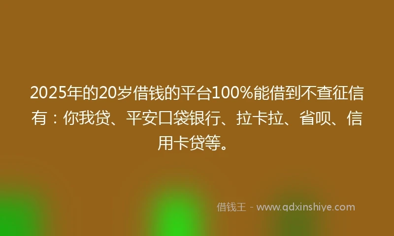 2025年的20岁借钱的平台100%能借到不查征信有：你我贷、平安口袋银行、拉卡拉、省呗、信用卡贷等。