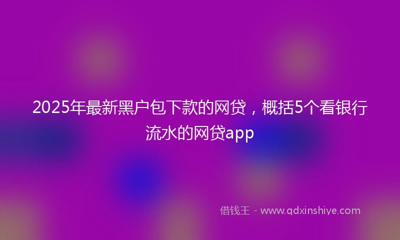2025年最新黑户包下款的网贷，概括5个看银行流水的网贷app