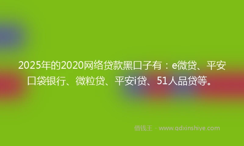2025年的2020网络贷款黑口子有：e微贷、平安口袋银行、微粒贷、平安i贷、51人品贷等。