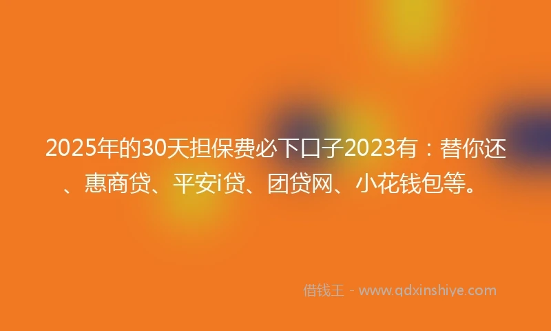 2025年的30天担保费必下口子2023有：替你还、惠商贷、平安i贷、团贷网、小花钱包等。
