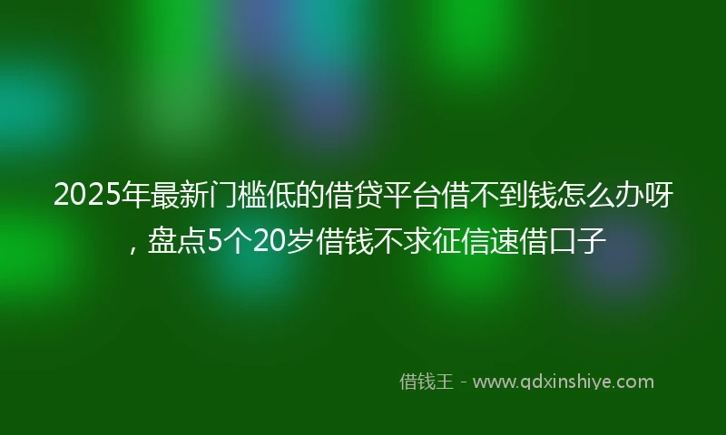 2025年最新门槛低的借贷平台借不到钱怎么办呀，盘点5个20岁借钱不求征信速借口子