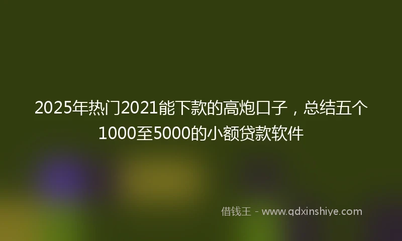 2025年热门2021能下款的高炮口子，总结五个1000至5000的小额贷款软件