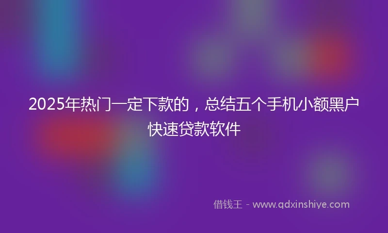 2025年热门一定下款的，总结五个手机小额黑户快速贷款软件