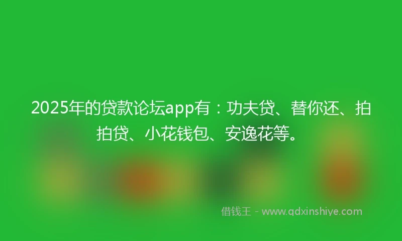 2025年的贷款论坛app有：功夫贷、替你还、拍拍贷、小花钱包、安逸花等。