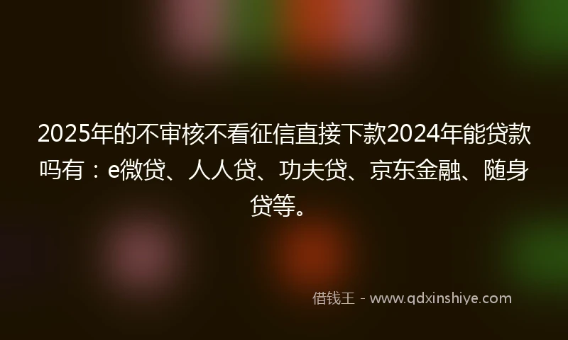 2025年的不审核不看征信直接下款2024年能贷款吗有：e微贷、人人贷、功夫贷、京东金融、随身贷等。