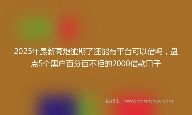 2025年最新高炮逾期了还能有平台可以借吗，盘点5个黑户百分百不拒的2000借款口子