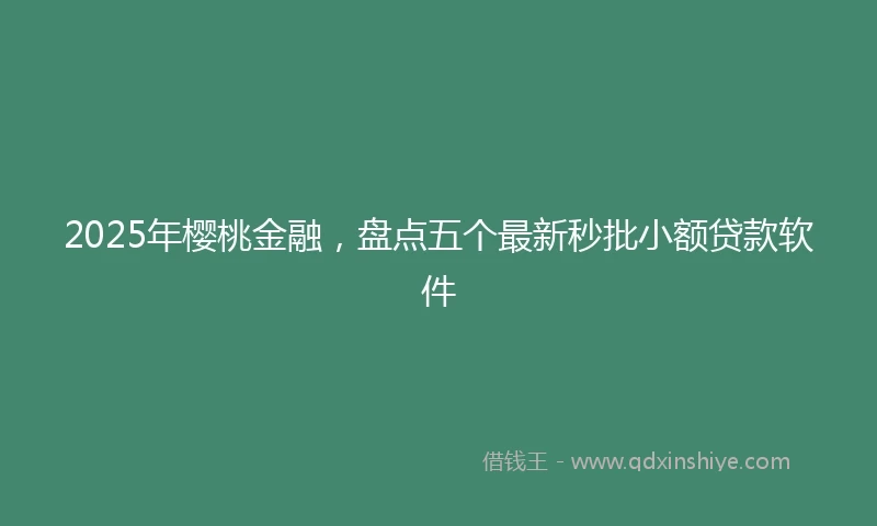 2025年樱桃金融，盘点五个最新秒批小额贷款软件