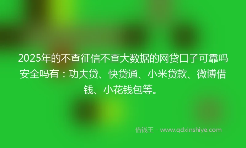 2025年的不查征信不查大数据的网贷口子可靠吗安全吗有：功夫贷、快贷通、小米贷款、微博借钱、小花钱包等。