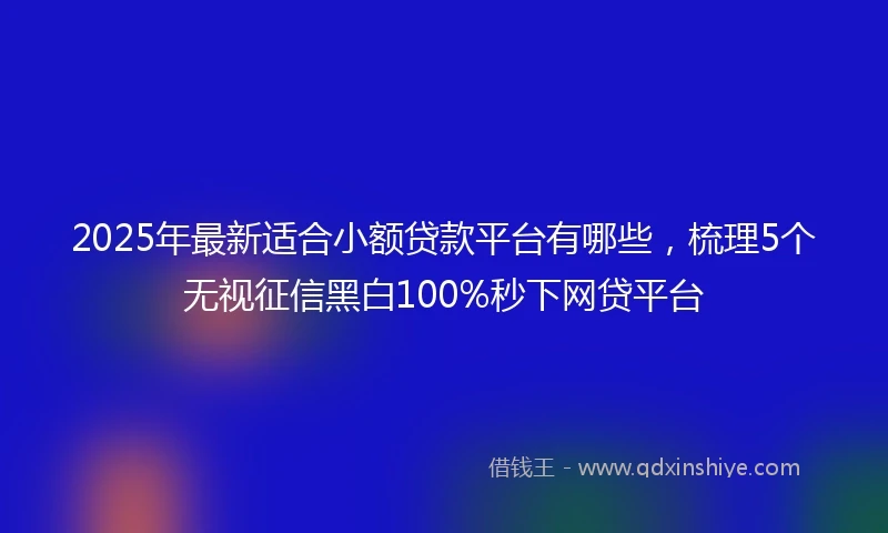 2025年最新适合小额贷款平台有哪些，梳理5个无视征信黑白100%秒下网贷平台