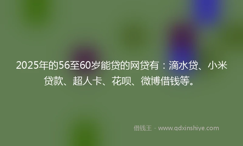 2025年的56至60岁能贷的网贷有：滴水贷、小米贷款、超人卡、花呗、微博借钱等。