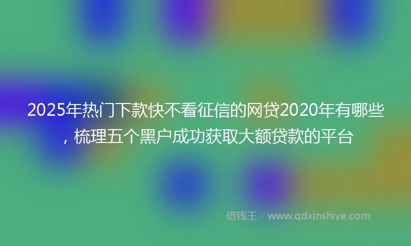 2025年热门下款快不看征信的网贷2020年有哪些，梳理五个黑户成功获取大额贷款的平台