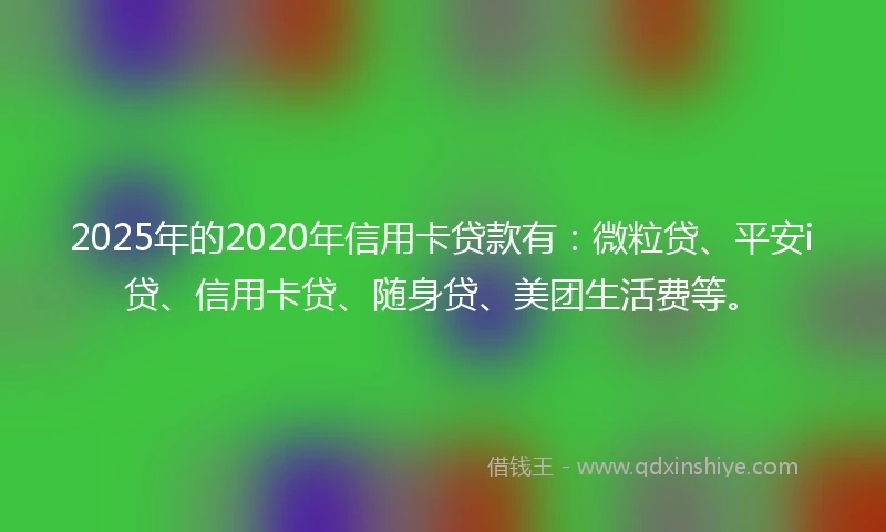 2025年的2020年信用卡贷款有：微粒贷、平安i贷、信用卡贷、随身贷、美团生活费等。