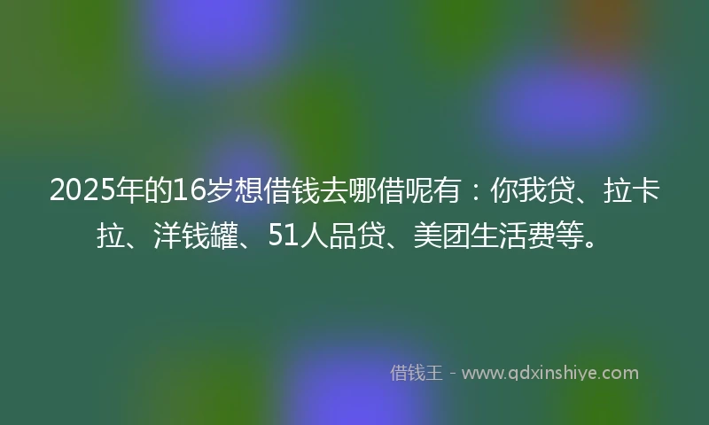 2025年的16岁想借钱去哪借呢有：你我贷、拉卡拉、洋钱罐、51人品贷、美团生活费等。