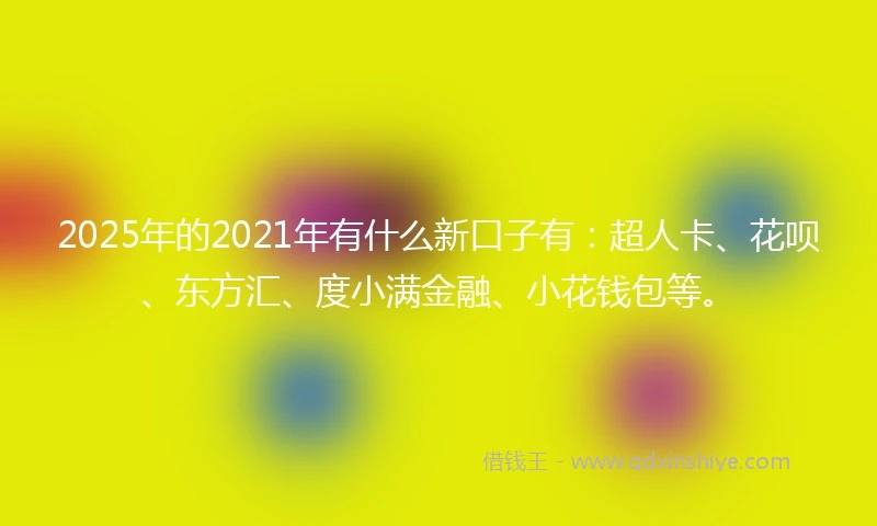 2025年的2021年有什么新口子有：超人卡、花呗、东方汇、度小满金融、小花钱包等。