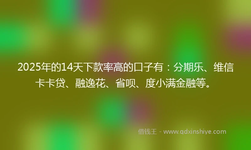 2025年的14天下款率高的口子有：分期乐、维信卡卡贷、融逸花、省呗、度小满金融等。