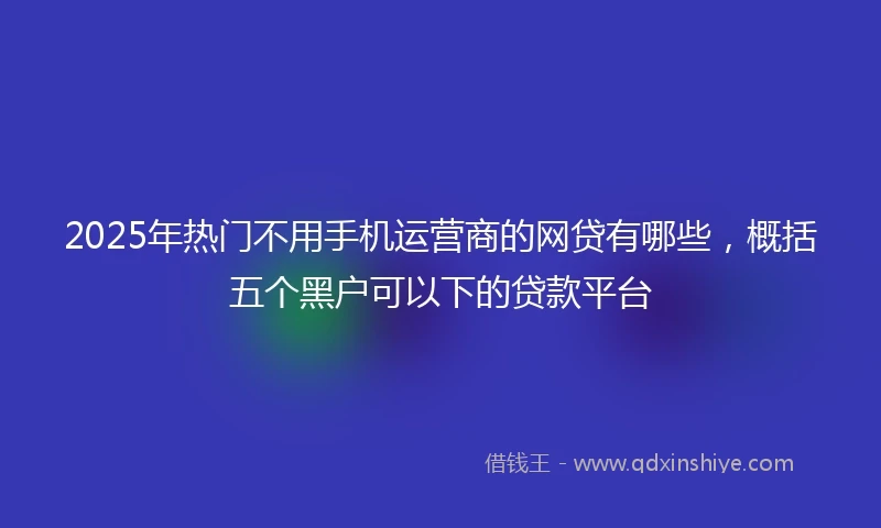 2025年热门不用手机运营商的网贷有哪些，概括五个黑户可以下的贷款平台