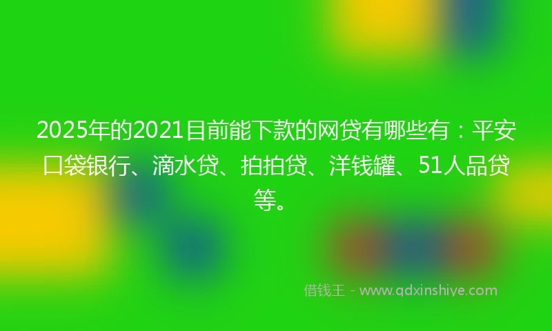 2025年的2021目前能下款的网贷有哪些有：平安口袋银行、滴水贷、拍拍贷、洋钱罐、51人品贷等。