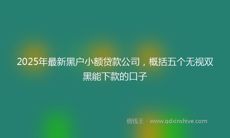 2025年最新黑户小额贷款公司，概括五个无视双黑能下款的口子
