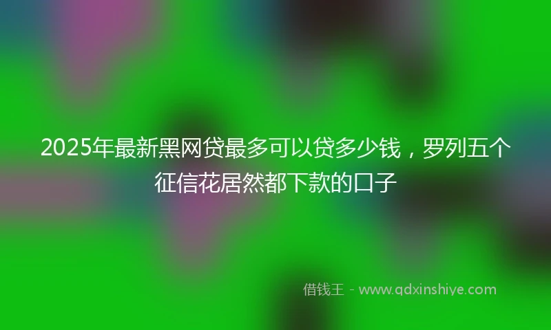 2025年最新黑网贷最多可以贷多少钱，罗列五个征信花居然都下款的口子
