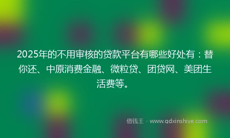 2025年的不用审核的贷款平台有哪些好处有：替你还、中原消费金融、微粒贷、团贷网、美团生活费等。