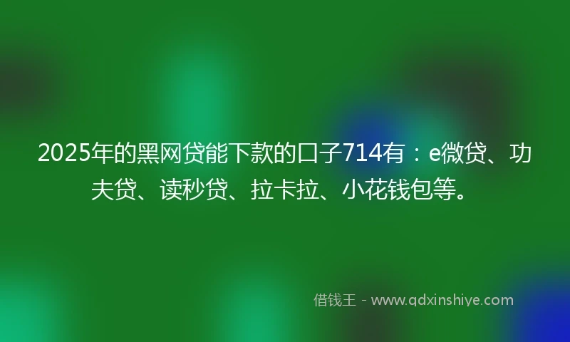 2025年的黑网贷能下款的口子714有：e微贷、功夫贷、读秒贷、拉卡拉、小花钱包等。