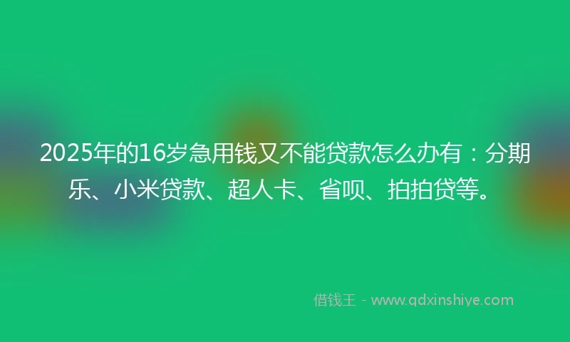 2025年的16岁急用钱又不能贷款怎么办有：分期乐、小米贷款、超人卡、省呗、拍拍贷等。