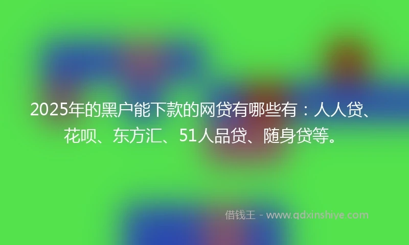 2025年的黑户能下款的网贷有哪些有：人人贷、花呗、东方汇、51人品贷、随身贷等。