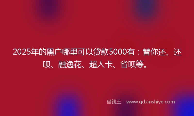 2025年的黑户哪里可以贷款5000有：替你还、还呗、融逸花、超人卡、省呗等。