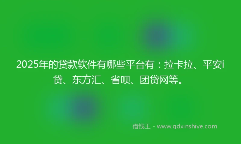 2025年的贷款软件有哪些平台有：拉卡拉、平安i贷、东方汇、省呗、团贷网等。