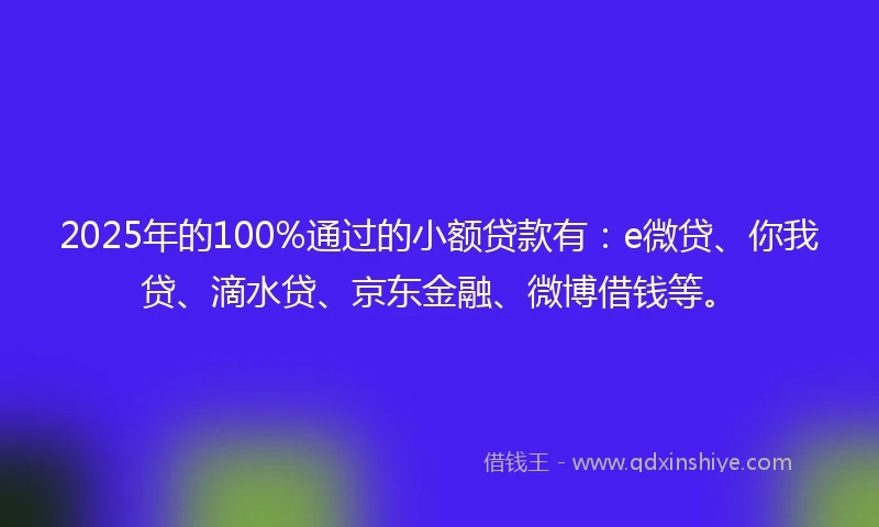 2025年的100%通过的小额贷款有：e微贷、你我贷、滴水贷、京东金融、微博借钱等。