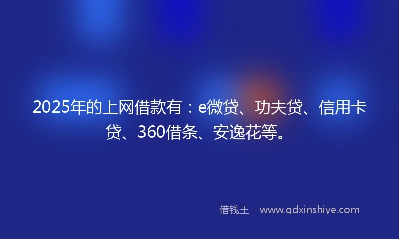 2025年的上网借款有：e微贷、功夫贷、信用卡贷、360借条、安逸花等。