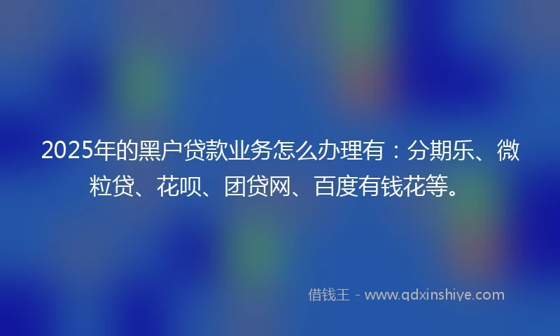 2025年的黑户贷款业务怎么办理有：分期乐、微粒贷、花呗、团贷网、百度有钱花等。