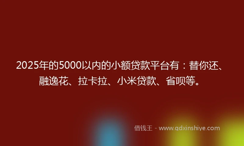 2025年的5000以内的小额贷款平台有:替你还、融逸花、拉卡拉、小米贷款、省呗等。